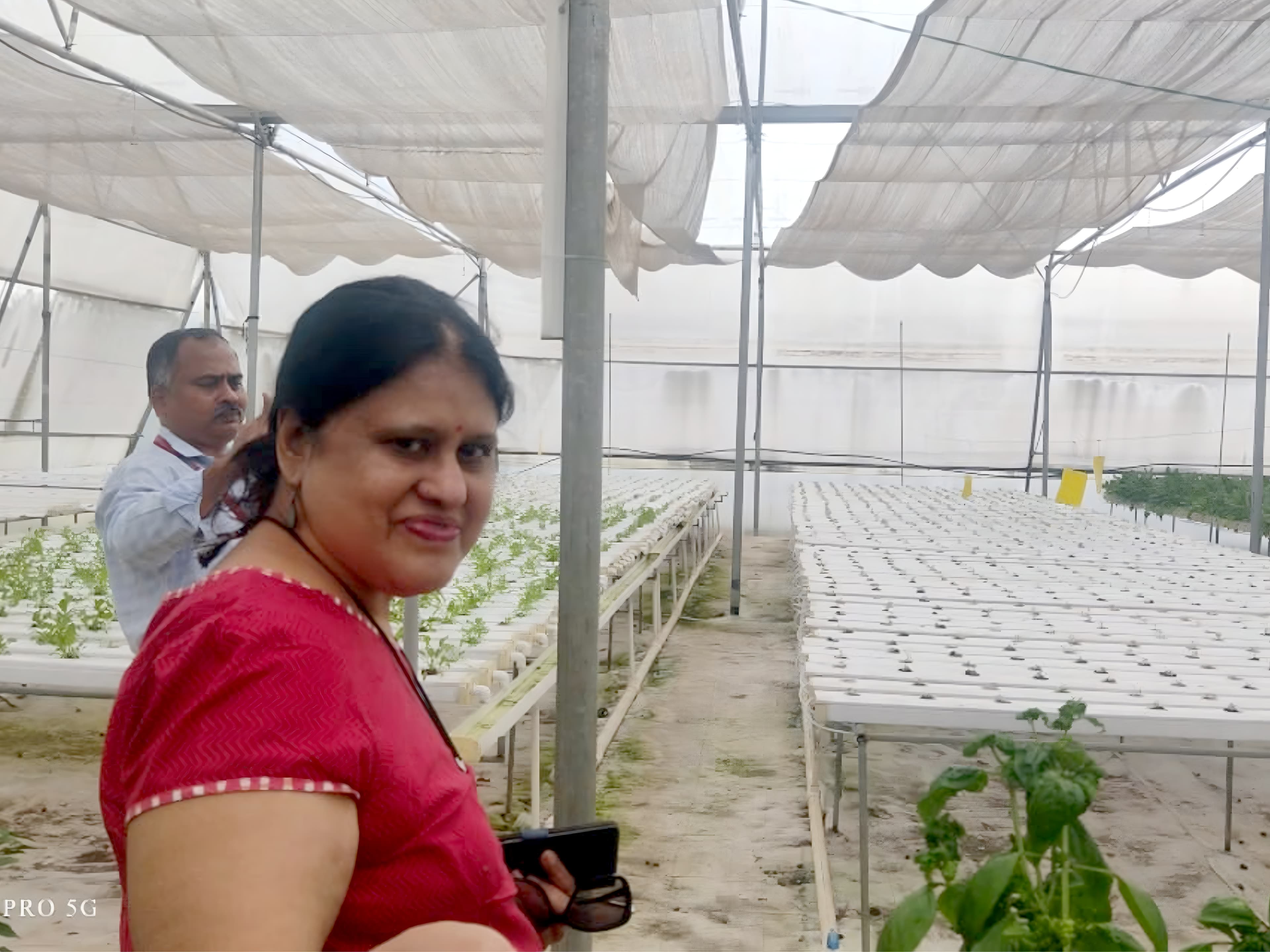 Field Visit Agriculture Greenzy Farms 2