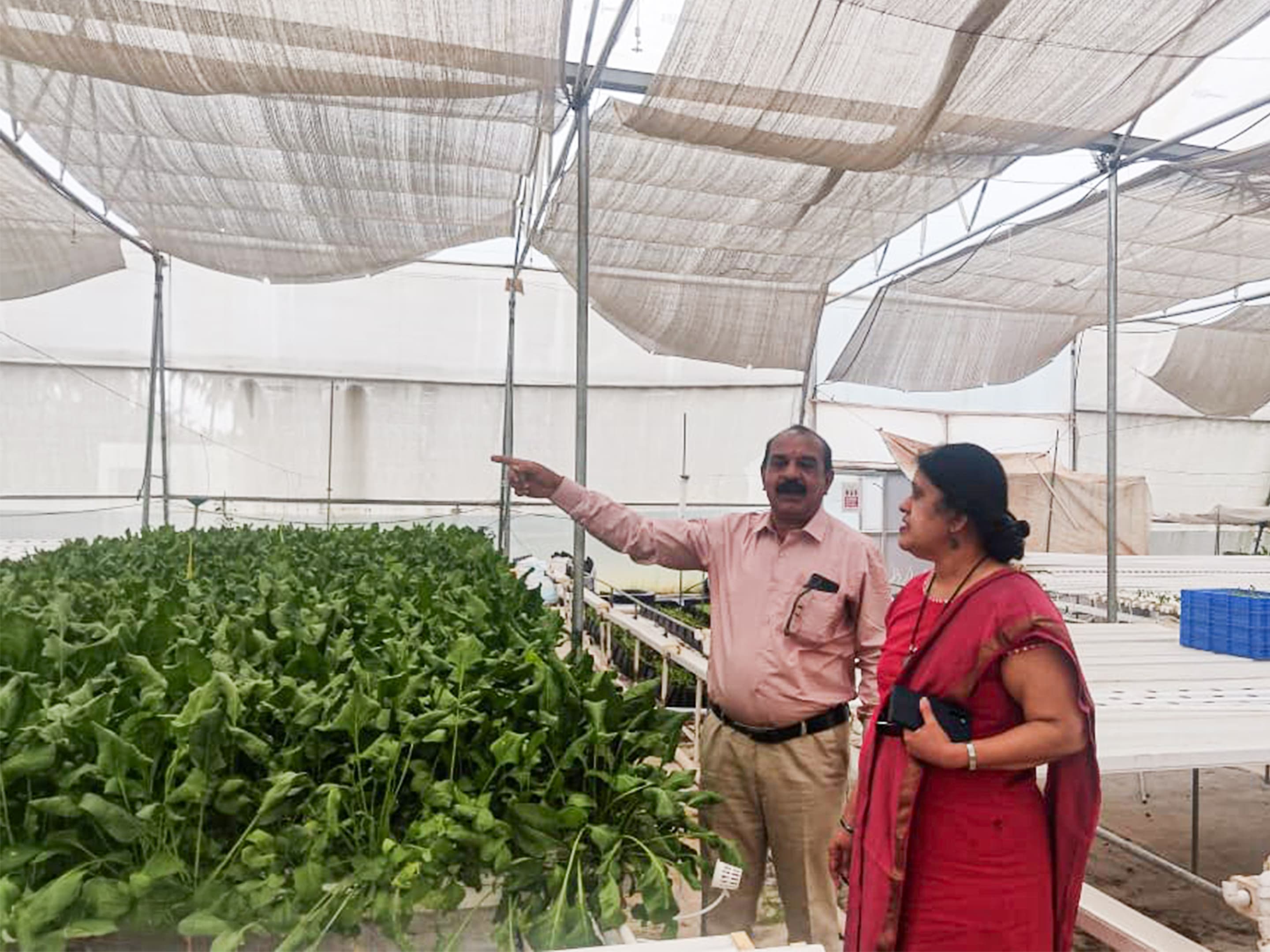 Field Visit Agriculture Greenzy Farms 3